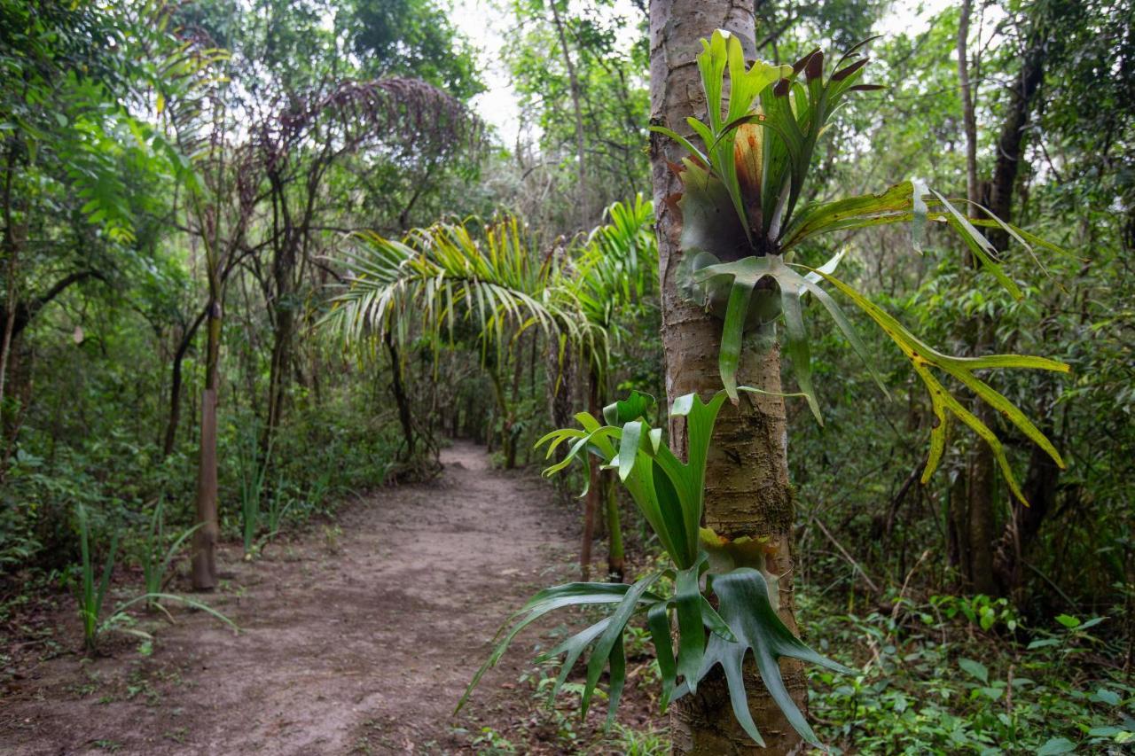 Ecopousada Serra Inn Glaura